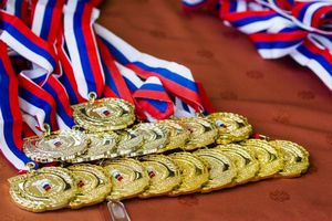 pir-medali-2013